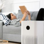 The Best Air Purifiers for Large Rooms